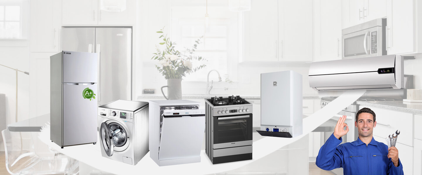 Ayancık Warmhaus Servisi